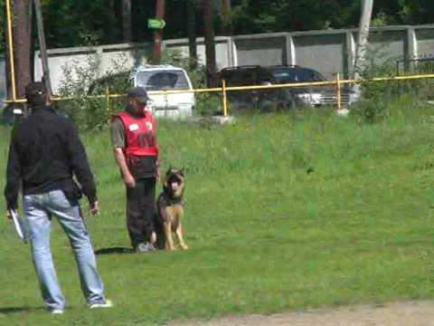 Chiempionat Rossii po IPO 2010, V-92|-
