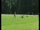 Stromovka DiscDog Freestyle 2008 - Lucka & Dixi