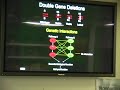 Current Issues in Computational Biology and Bioinformatics