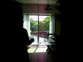 Cuando descubrimos que era una polilla, decidimos espantarla hacia la ventana (mas bien mi mamá xD) con la escoba. Manu la alentaba, observaba y filmaba desde atrás de una madera. La mejor parte, cuando la polilla roza el pie de mamá y yo corro al baño gritando. JAJAJAJA