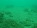 babbacombe dive