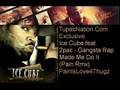 Ice Cube Gangsta Rap Made Me Do It (Remix) Official Music Video and Lyrics