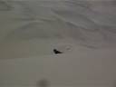 sandboarding.AVI