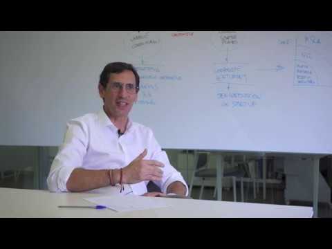 Un día con Jaime Esteban, Socio Director Speed Out Advisory