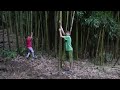 Click here to watch this video Hawaii - Tom is climbing bamboo