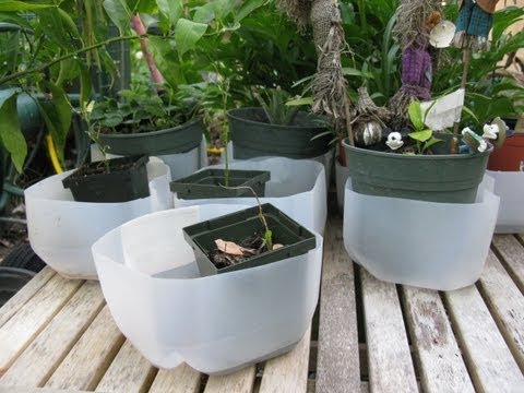how to drain plants