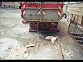 A slide of my old Terberg truck