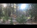 random video-like the 24th random video random video-like the 24th random video