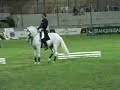 a spectacular display of collection taken to the extreme: Canter foot-fall pattern inching backward!Rider's name is Juan Diego Garcia Trevijano