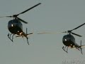 Helic�ptero - Helicopter - squirrel - ecureuil - esquilo