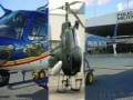 Helicóptero - Helicopter - squirrel - ecureuil - esquilo