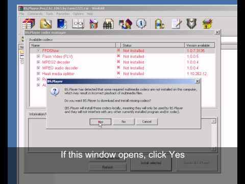 how to install bsplayer skins