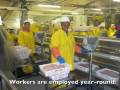Trident Seafood Plant at Akutan Alaska