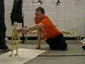 The Logic of Movement by Stephen Mottram (6 of 6) The Logic of Movement by Stephen Mottram (6 of 6)