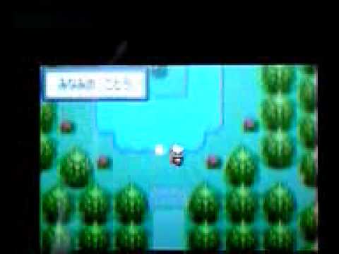 ポケモン RS(ルビー・サファイア)みなみのことう