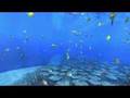 AQUA PS3 Trailer