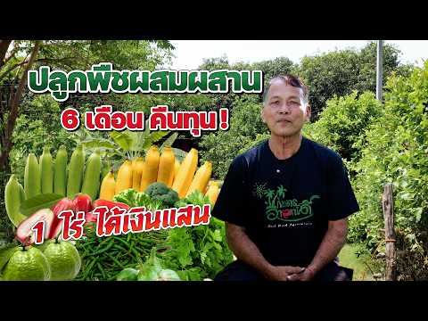 ปลูกพืชผสมผสาน 6 เดือนคืนทุน 1 ไร่ได้เงินแสน #เกษตรอารมณ์ดี