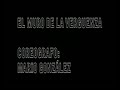Sinergia danza alternativa