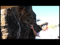 I liked a @YouTube video http://t.co/ItFzNiOlFq 5:3 NorthCal Wood Products - Kins Domain