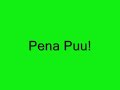 Pena Puu (S�rk�nniemi)