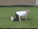 lose-weight-reduce-inches-are-you-serious-like-jackie.html