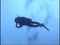 cozumel magic scuba diving