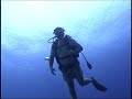 cozumel magic scuba diving