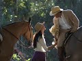 Cavalo Campolina - Brazilian Gaited Horse