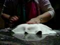 Covering a cake with sugarpaste(fondant)