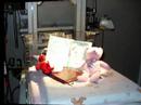 in loving memory of our little girl