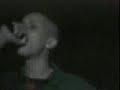 the noise live  baby rasta y gringo 