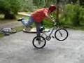 videos de Dave Nourie part 1