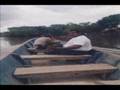 guasdualito 2002