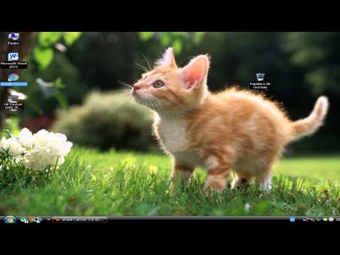 how to quick launch windows xp