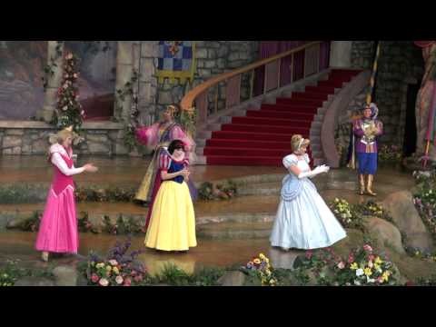 how to be a disney princess at disney world