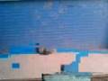 videos de lenin (2)
