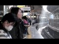 Markie in Japan - Mt. Takao and Thanksgiving in Japan