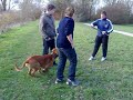 Boka 22112009 0020.mp4