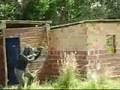Treino WTT Paintball Bahia