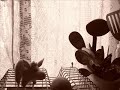 La revolucion de la cuchara .org