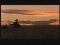 Terrence Malick Montage