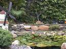 Pinecrest