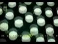 What number will you be? The Rows at SoMa