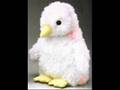 videos de funny and cute animals
