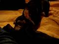 videos de Alfred & Luni Part 2