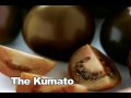 Kumato
