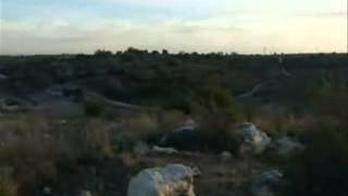 كل ما تبقى من سجد   الرملة   فلسطين