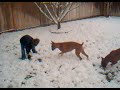 Fergie & Jeramy in the snow