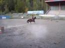 Brittney Barrel Racing Brittney Barrel Racing
