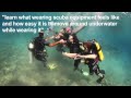 Discover Scuba Diving Disaster